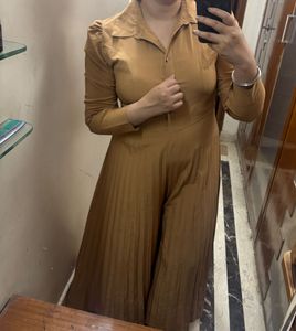 Elegant Pleated jumpsuit