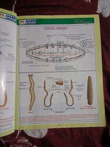 Bioimagica Biology Textbook