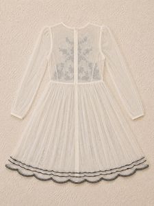 🌸Sheer embroidered mini dress ✨