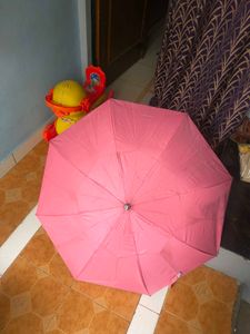 umbrella pink beautiful