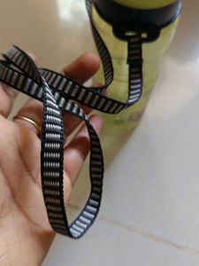 Reusable Water Bottle with Straw