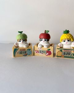 Mofusand Fruit Box 🗃️