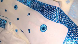 Elegant Embellished Saree