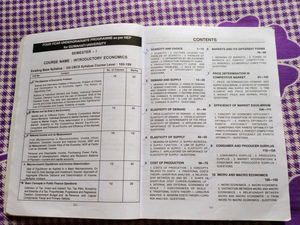Introductory Economics for Major/Minor Courses