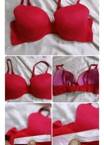 Lace Padded Bra