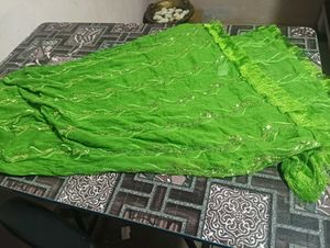 Green Embellished Dupatta