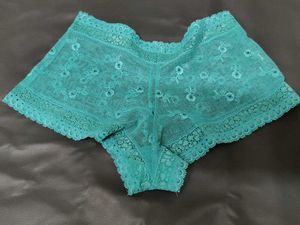 Teal Lace Briefs