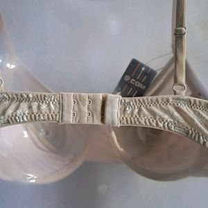 Branded New Brazier Underwired