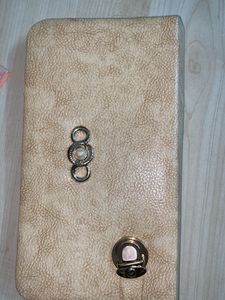Vintage Beige Clutch