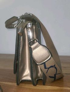 Charles &amp; Keith Metallic Crossbody Bag