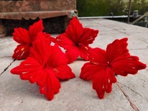 Pipe Cleaner Hibiscus for Bappa