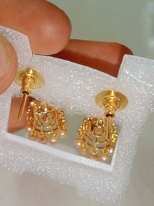Exquisite Jhumka Earrings