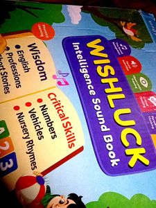 WISH LUCK Intelligence Sound Book