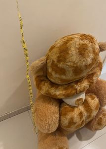 Life Size Teddy Bear