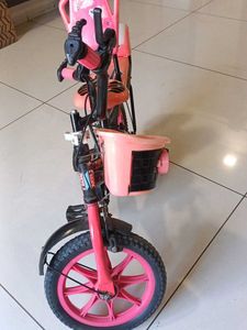 Kids Bicycle with Training Wheels