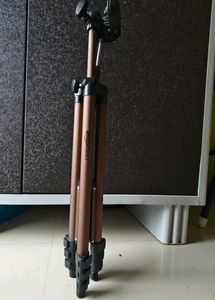 AmazonBasics 50-Inch Lightweight Tripod with Bag