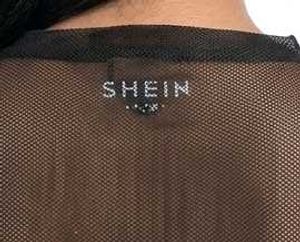 Sheer Leopard Print Top.💋