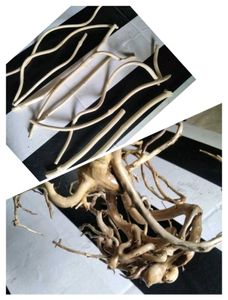 Natural Driftwood Branches and Roots