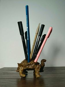 Organic tortoise Pen Holder 💚