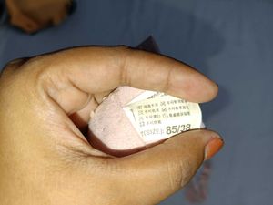 Lace Padded Bra