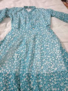 Floral Print Sheer Mini Dress