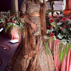 Fishcut Embroidered Lehenga for Special Occasions