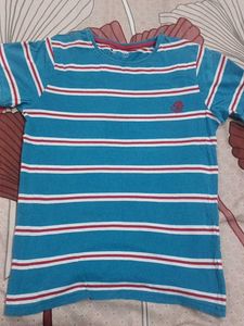 Striped V-Neck T-Shirt combo299