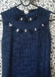 Elegant Navy Blue Embellished Dress