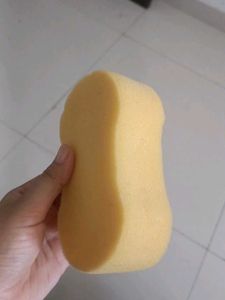 Car Wash Sponge