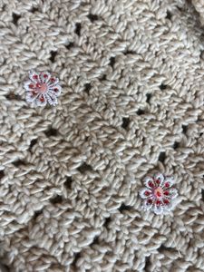 Crocheted Crossbody Bag