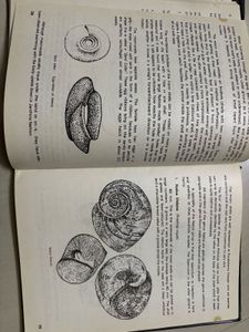 Sea Snails of Pondicherry Book