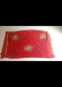 Beautiful Embellished Rust Saree