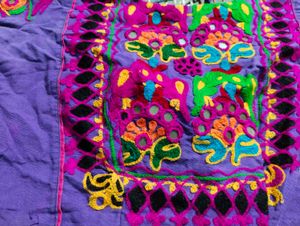 Vibrant Embroidered Crop Blouse
