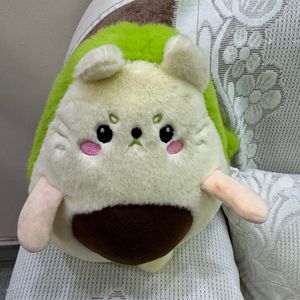 kokumi kawai avocado cat