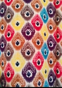 Vibrant Ikat Print Kurta
