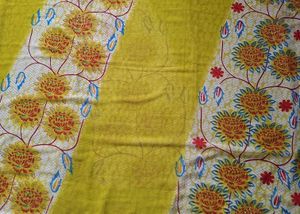 New Vibrant Georgette Saree🍋‍🟩