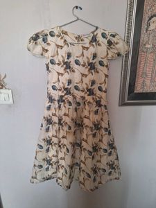 Floral Print Mini Dress