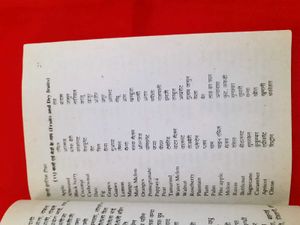 Hindi-English Teacher Book