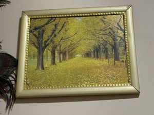 Sale | Landscape Wall Art 🌱| Set of 3