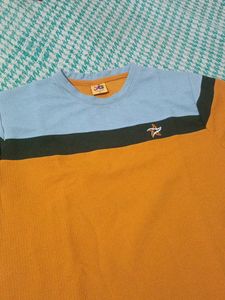 Mens T- Shirt