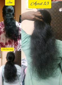 Homemade Secret Herbal Hairgrowth Oil