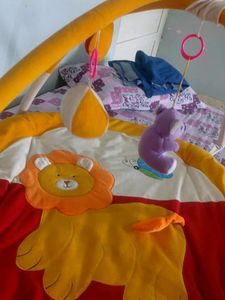 Baby Mat...good Condition With Net