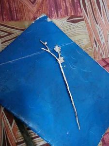 Elegant Floral Branch Hairpin