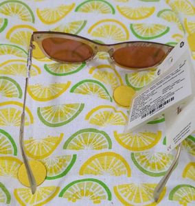 Aldo Sunglasses_9914