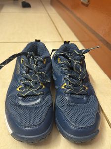 Li-Ning Blue &amp; Gold Badminton Sports Shoes