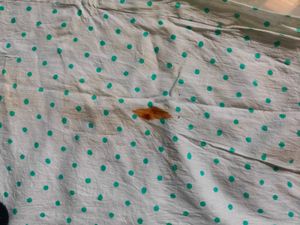 Green &amp; White Printed Fabric