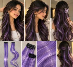 Clip-in Purple Highlight Hair Extensions