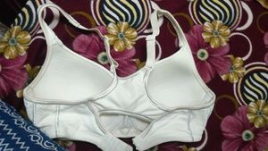 Slightly Padded Bra