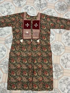 Beautiful Paisley Print Kurta
