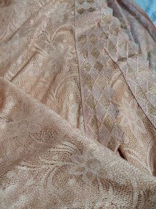 Elegant Peach Lace Saree with Gold Accents